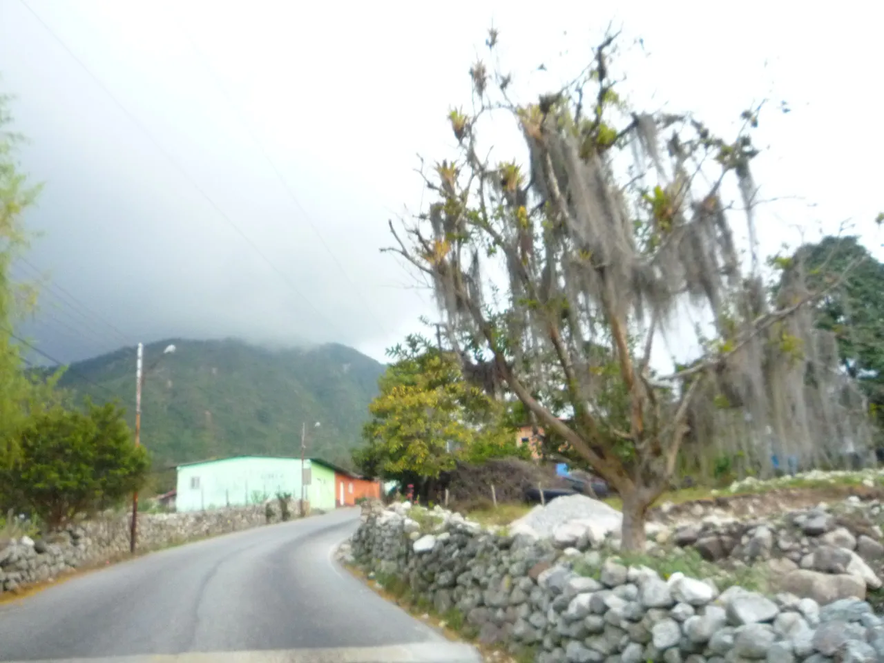 P1300615.JPG