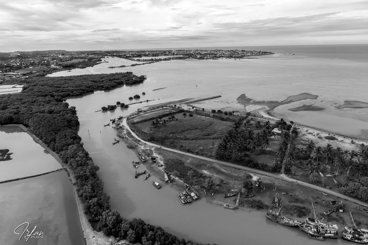 DJI_0038+bw.jpg