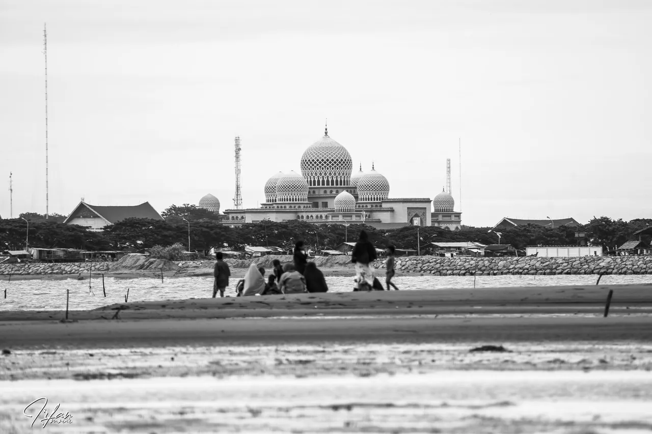 IBL07567+bw.jpg