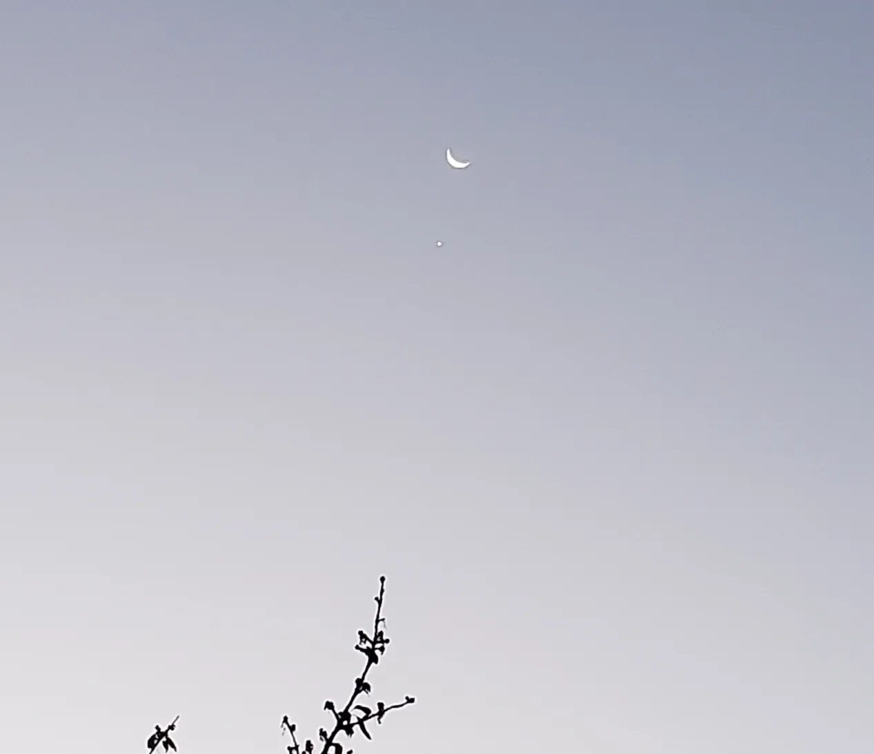 11-10_moon_venus.png