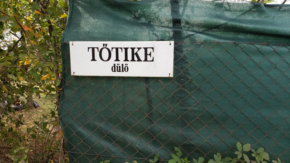 10-20_totike_dulo.png