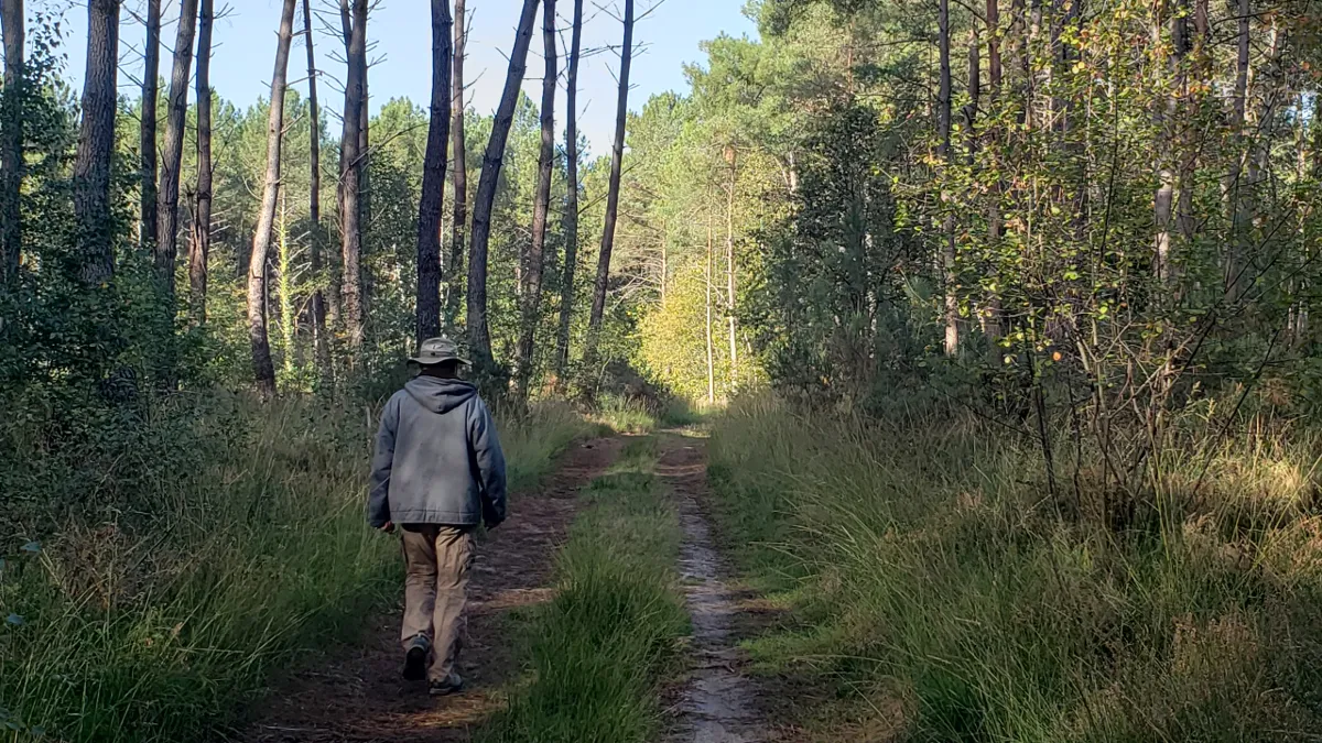 10-07_in_the_woods.png