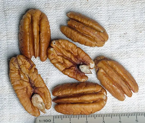 09_29_pecan_halves.jpg