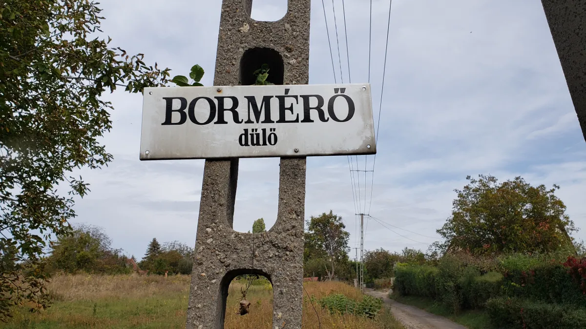 10-20_bormero_dulo.png