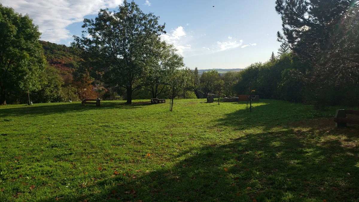 11-03_dog_park.png