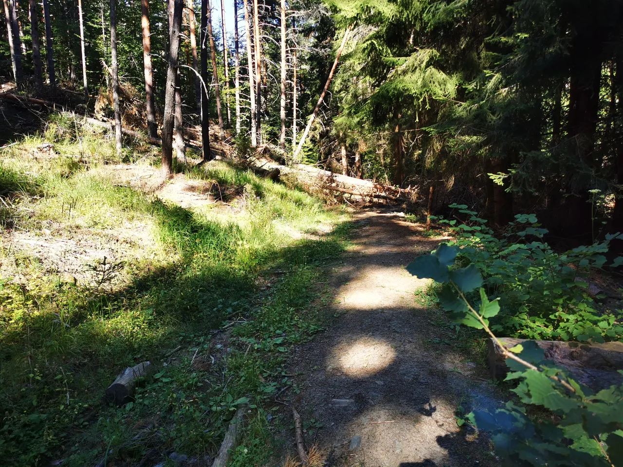 IMG_20210807_170901.jpg