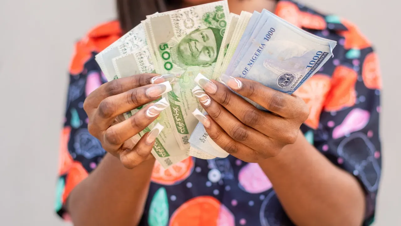 The Hidden Costs of Loans_ Lessons from a Currency Depreciation Dilemma_20240427_211940_0002.png