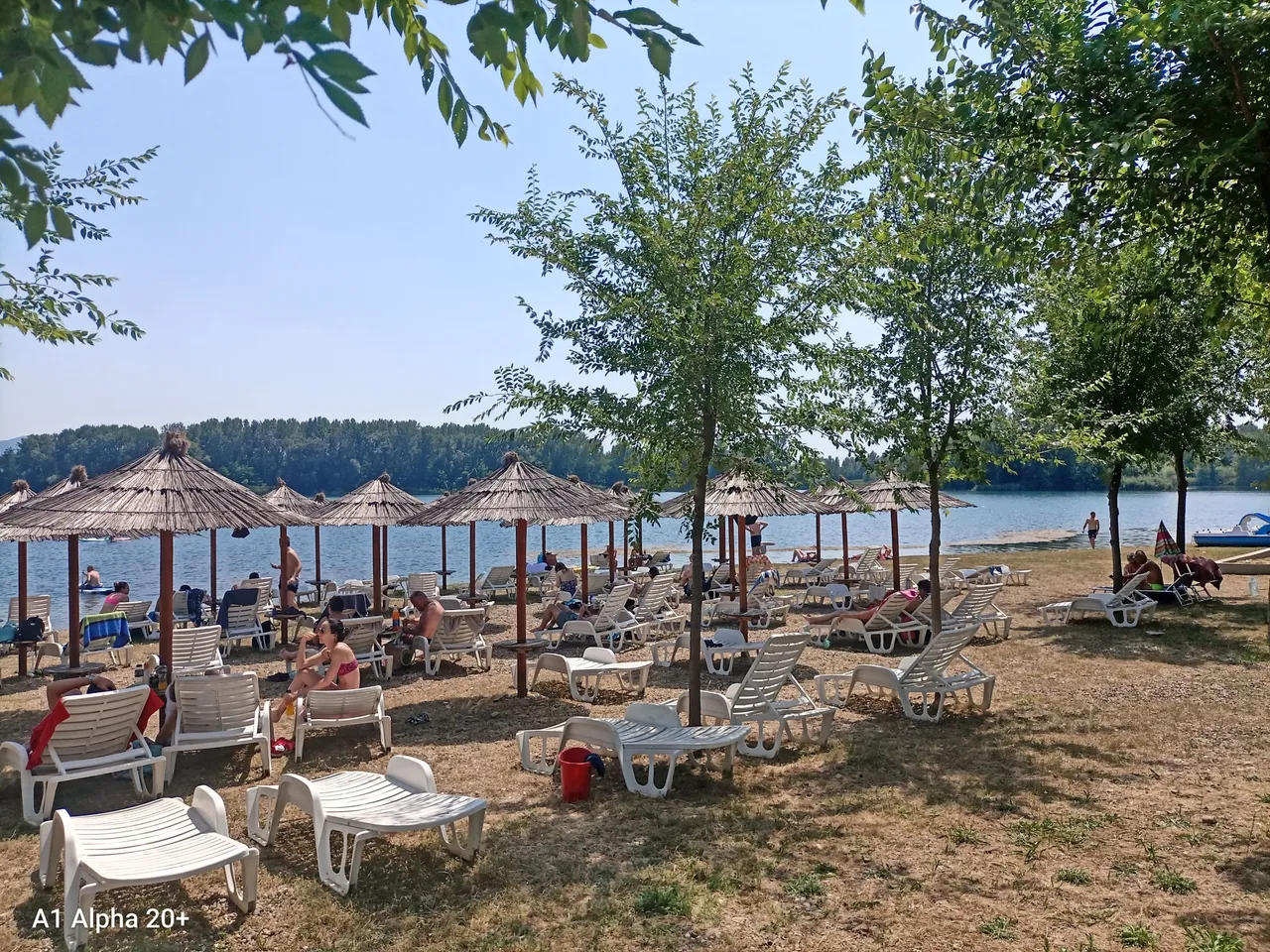 IMG_20250608_135248.jpg