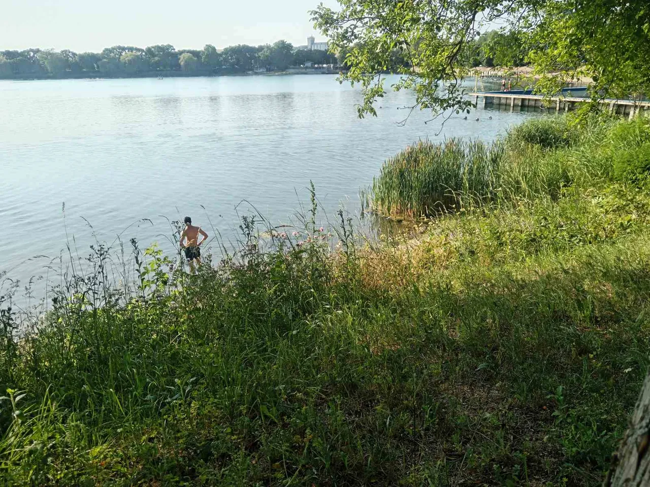 IMG-e4420d51038332e531e5326900269167-V.jpg