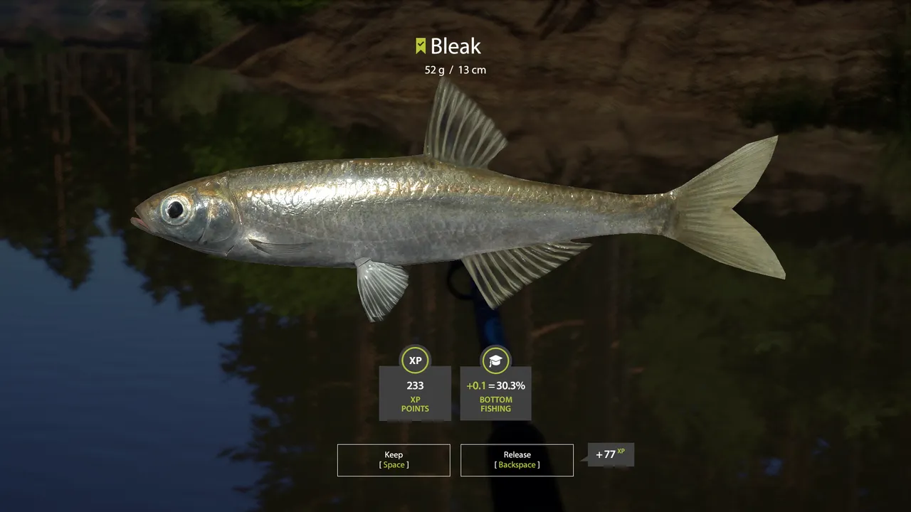 Screenshot 2024-06-04 182453.png