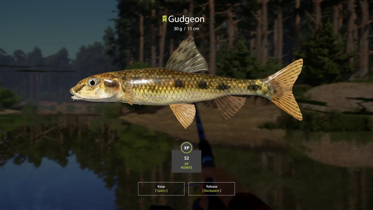 Screenshot 2024-06-04 183900.png