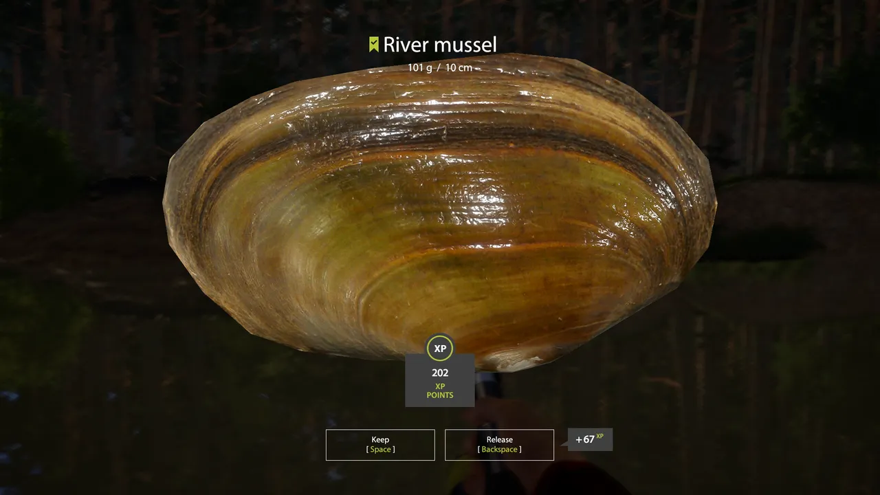 Screenshot 2024-06-04 181456.png