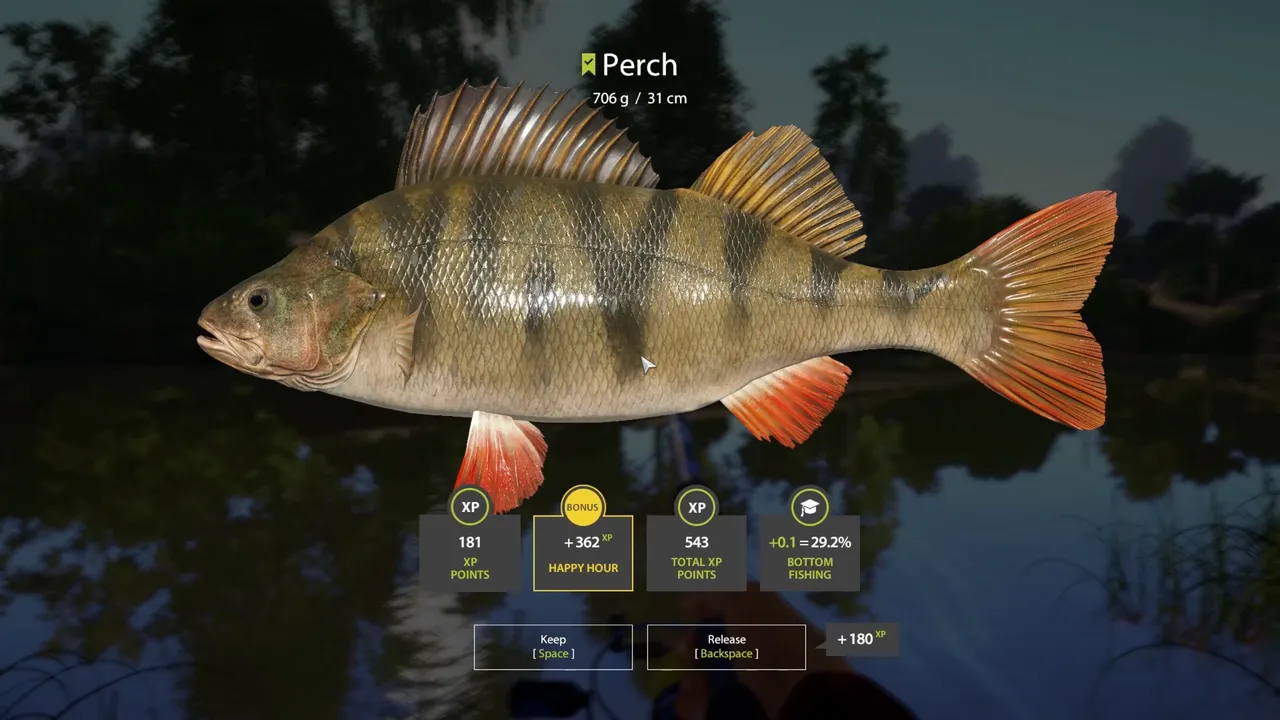 perch.png