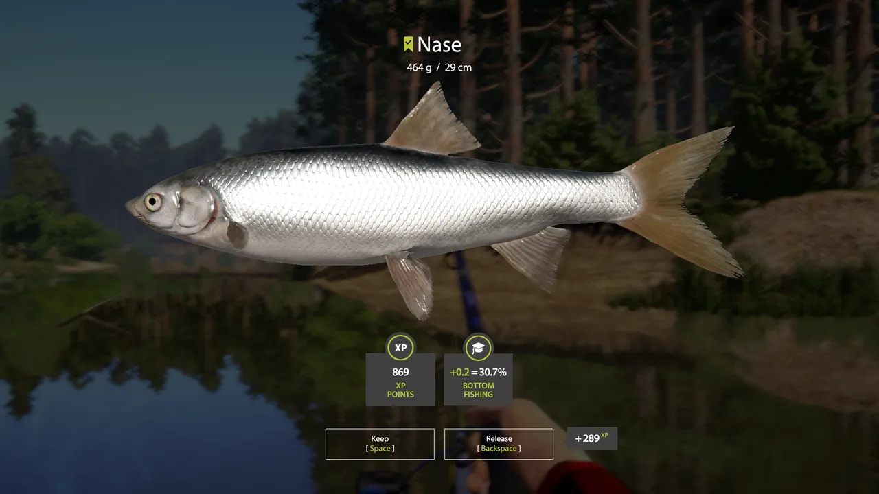 Screenshot 2024-06-04 183444.png