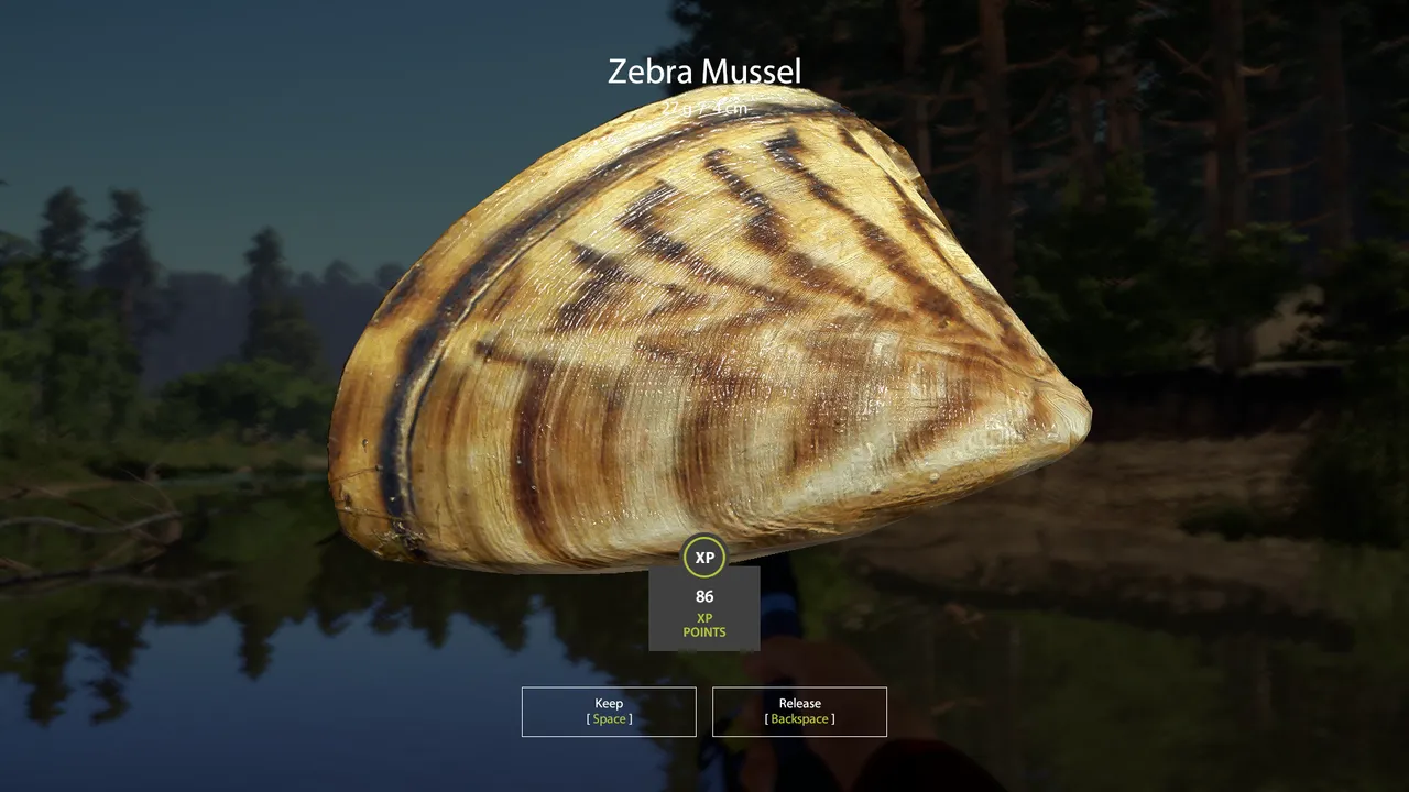 Screenshot 2024-06-04 182527.png