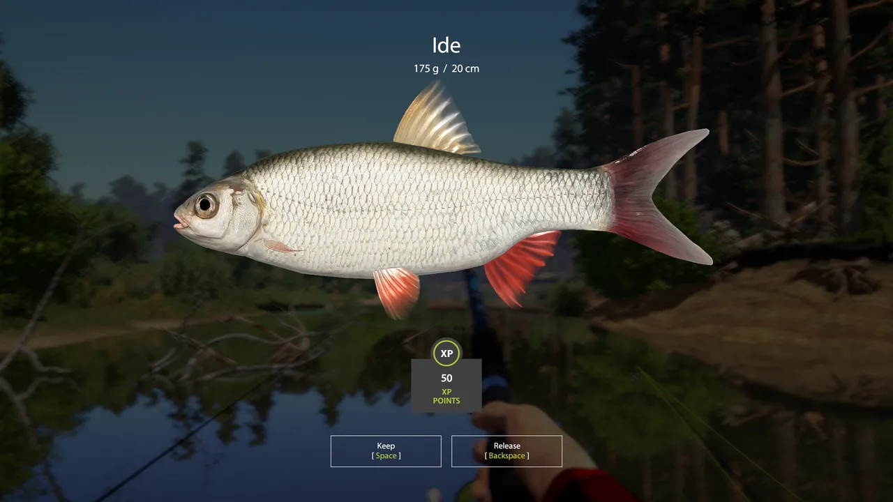 Screenshot 2024-06-04 183223.png