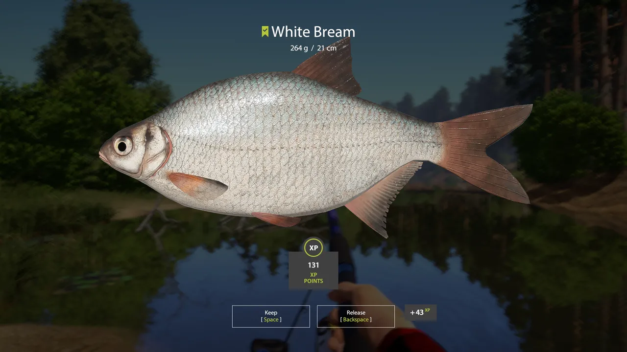 Screenshot 2024-06-04 182843.png