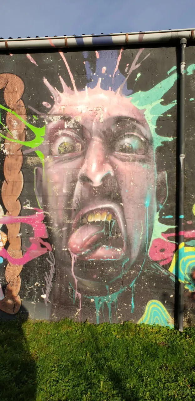 face.jpg