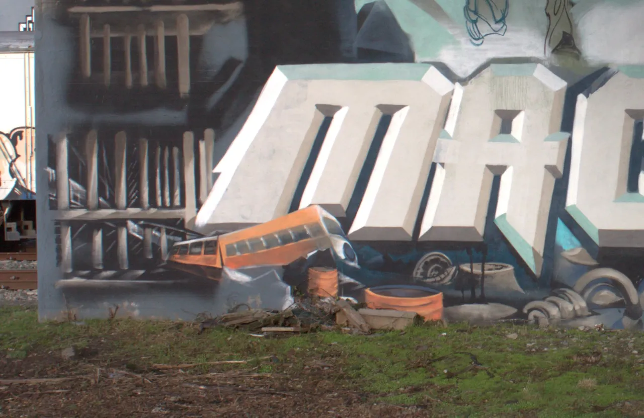 close_up_debris.jpg