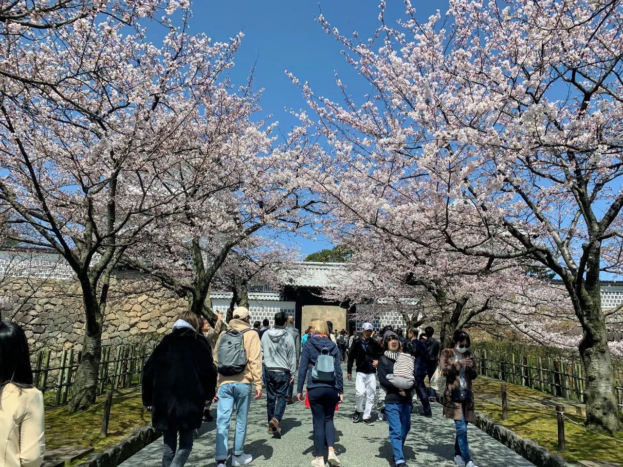 On our way to the castle grounds