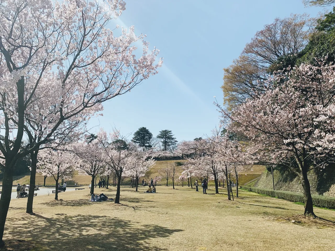 Kanazawa Castle Park