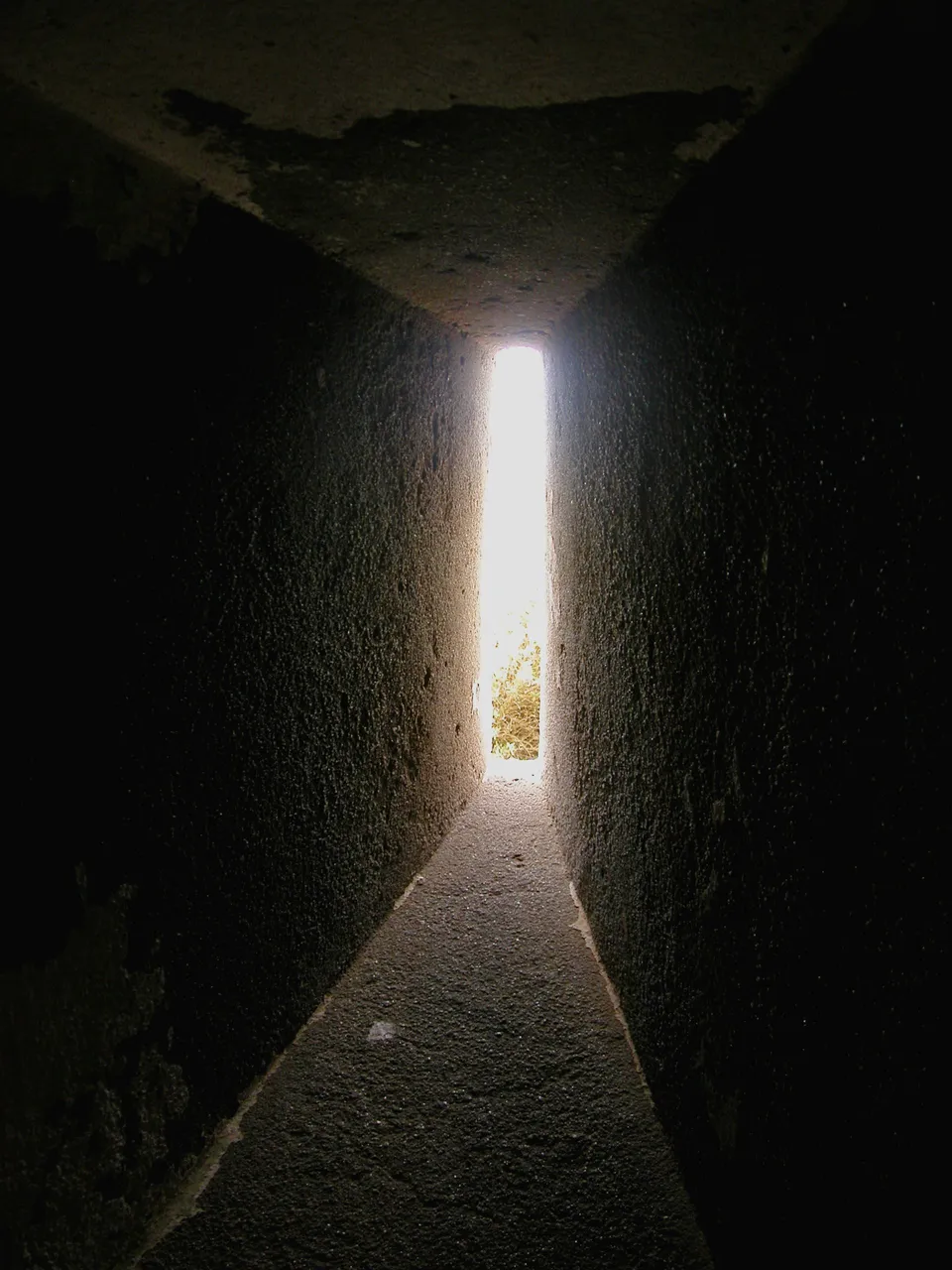 DSCN8020.JPG