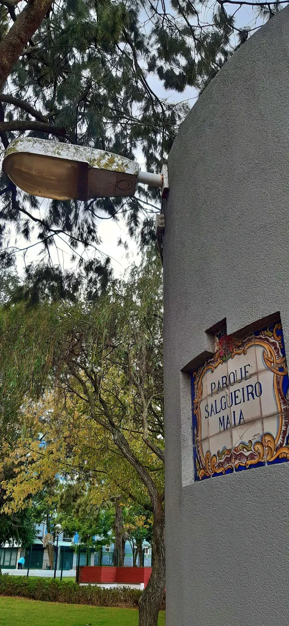 20230903_172009.jpg