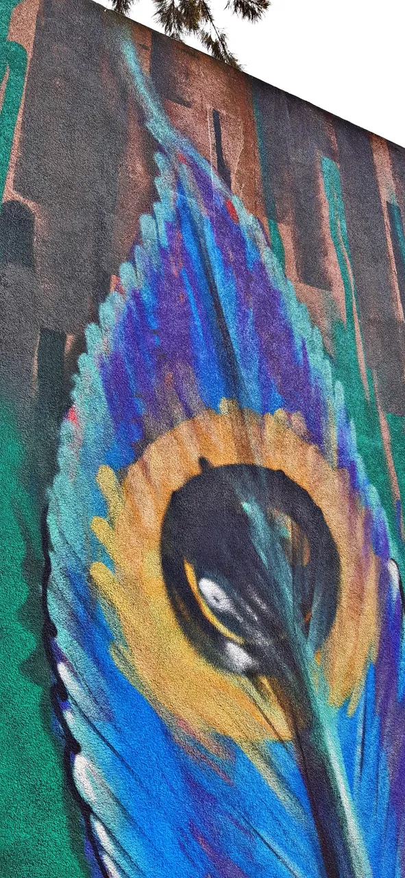 20230903_172015.jpg