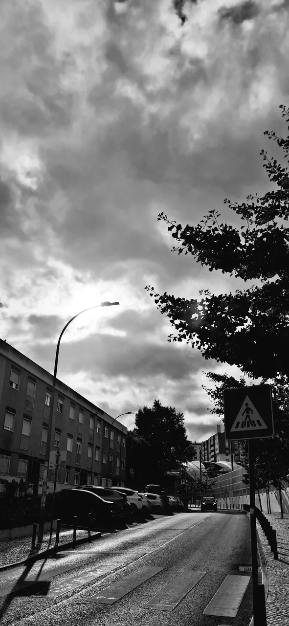 20250710_185634.jpg