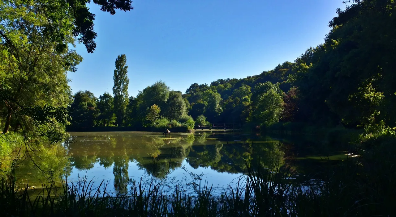 20160824_175431_Richtone(HDR)2.jpg