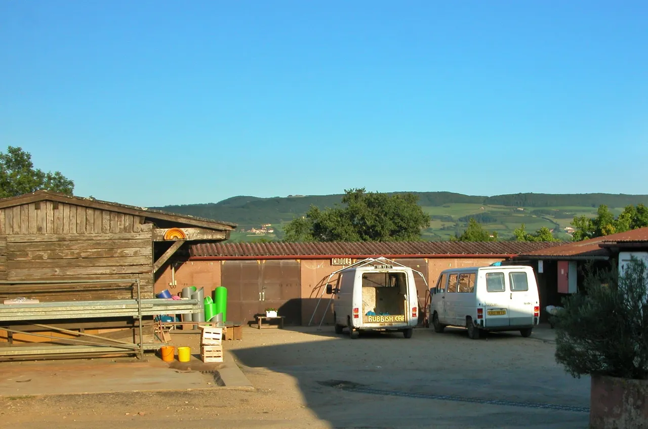 DSCN7800_2.JPG