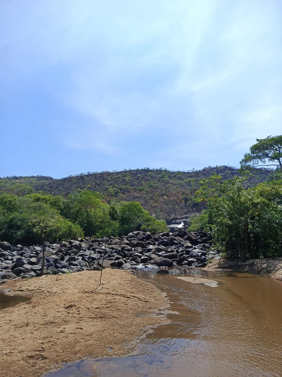 IMG_20250416_104446_738.jpg