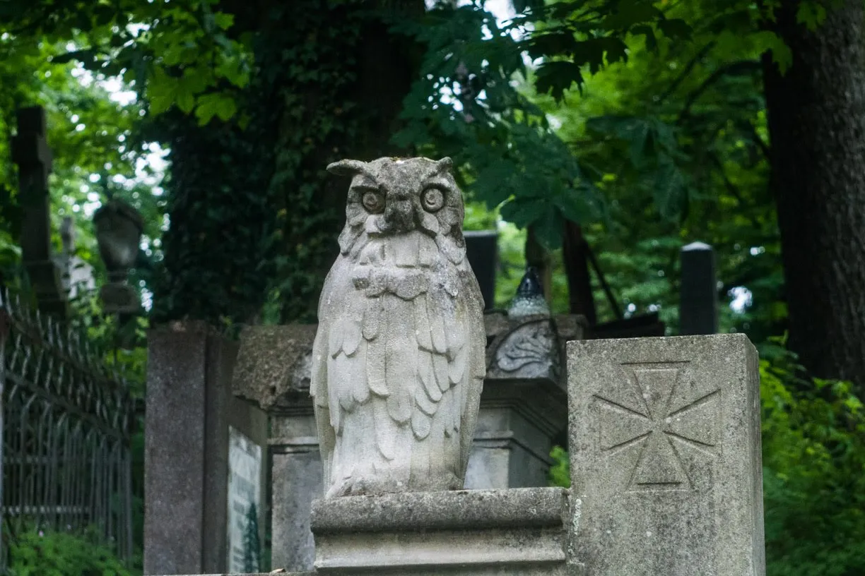 stone owl 1.jpg