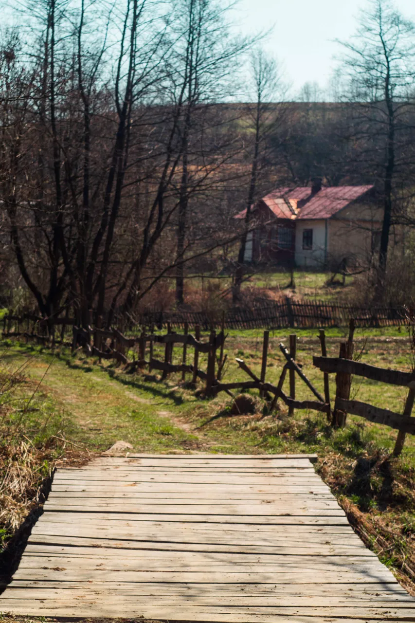 walking 06.jpg