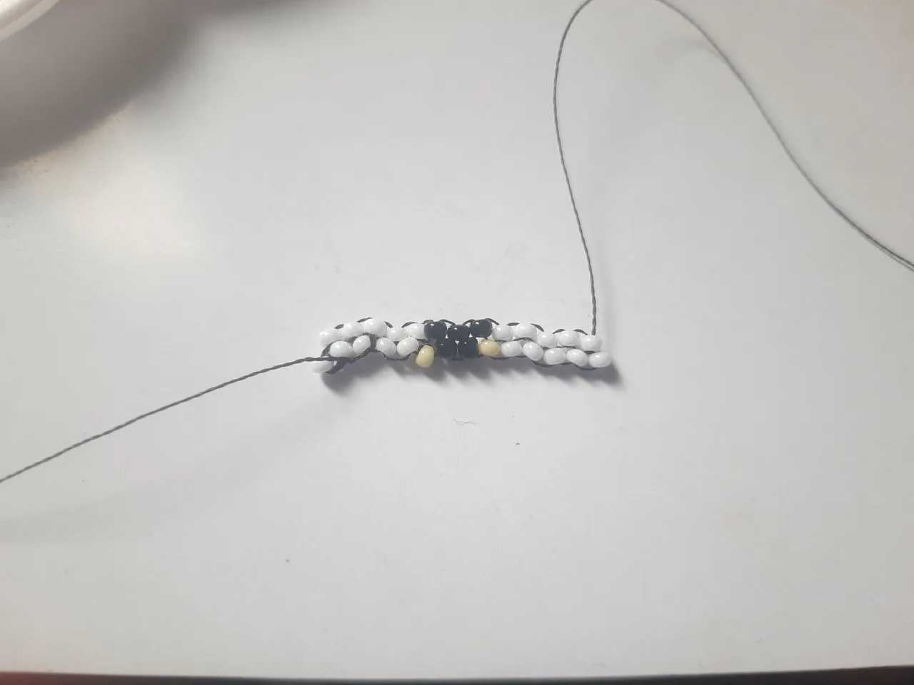 20250423_104033.jpg