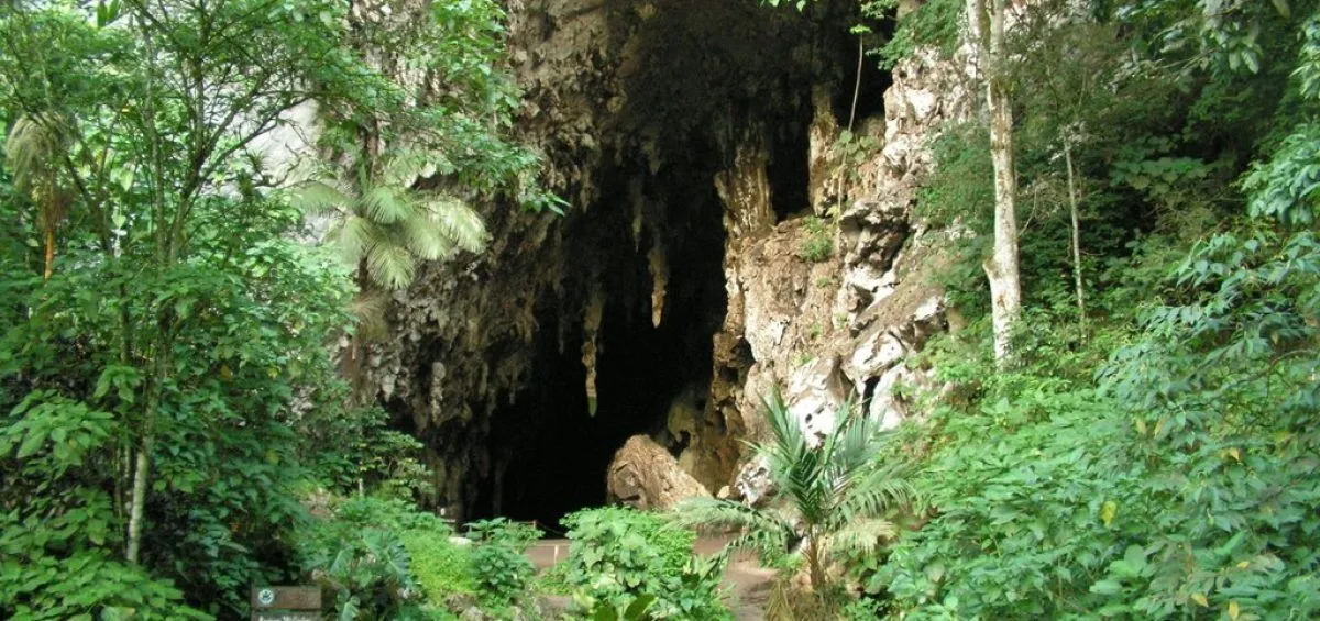 Cueva-del-Guacharo-1-1200x565.jpg