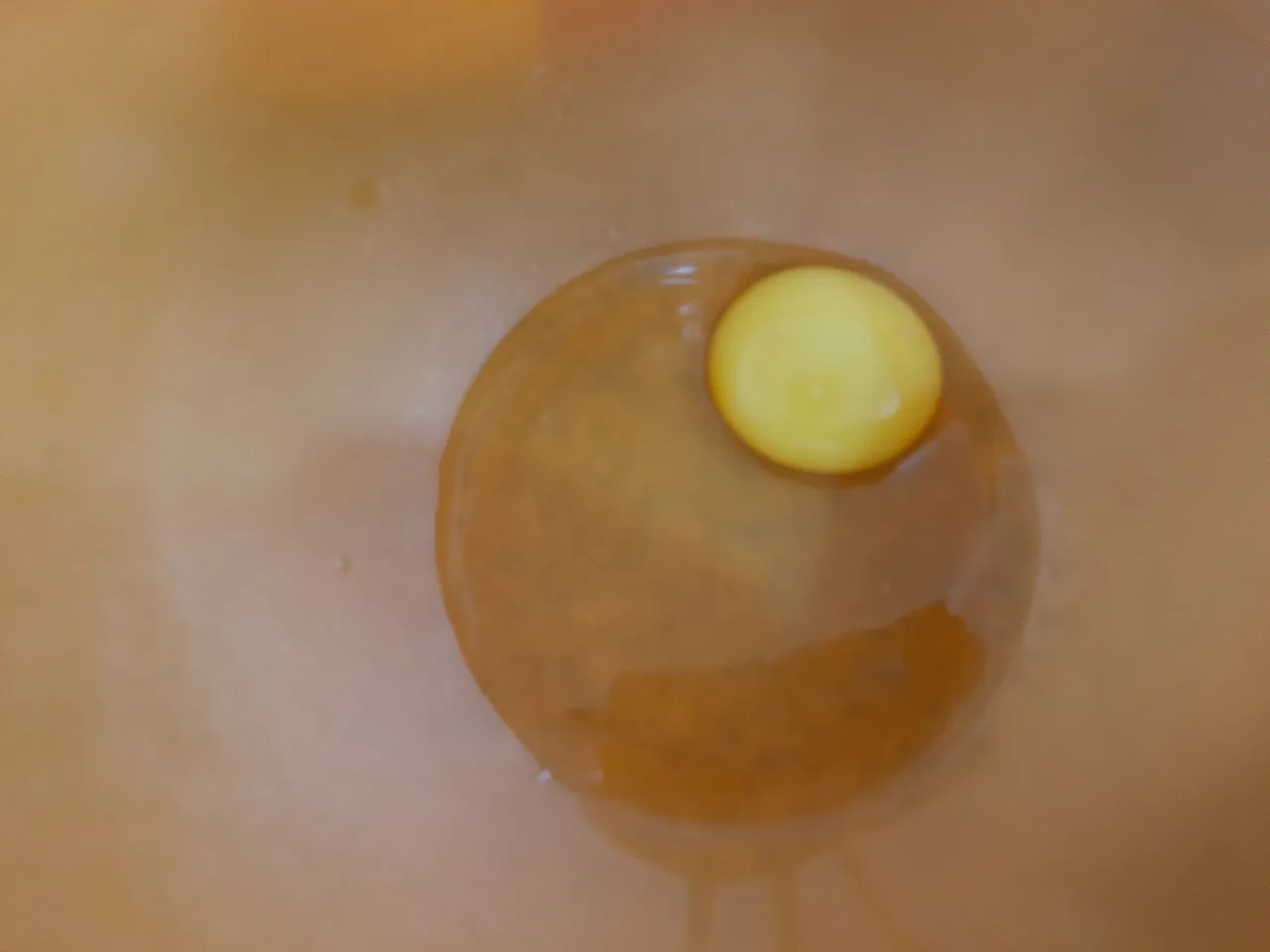 20240926_172607.jpg
