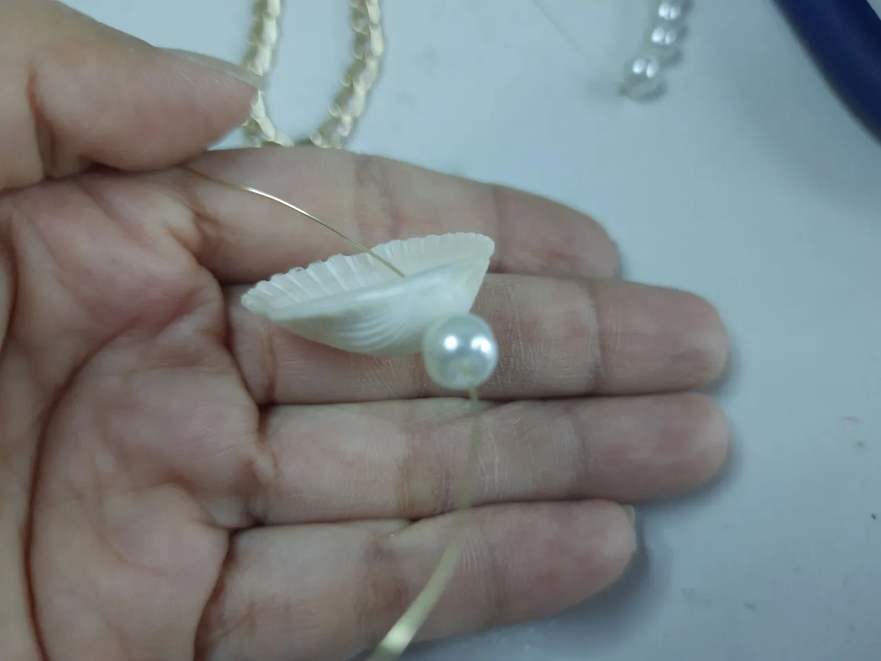 20240404_090820.jpg