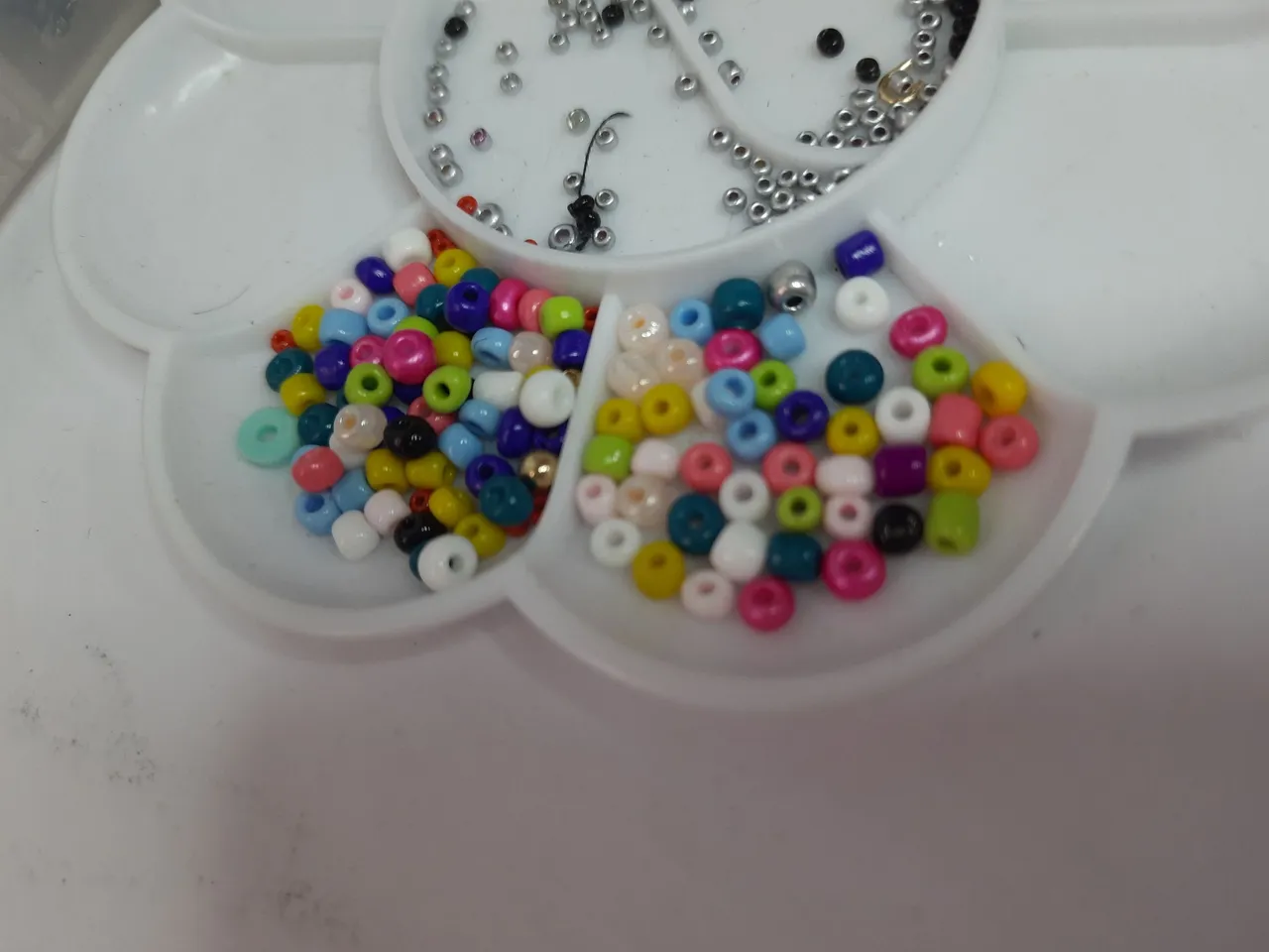 20230224_093027.jpg