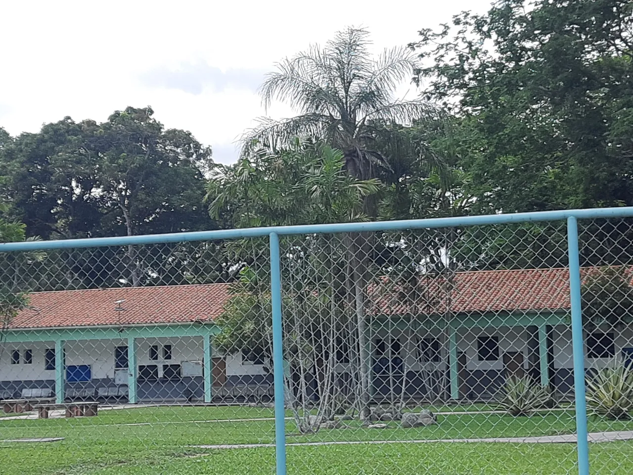 20250811_113809.jpg
