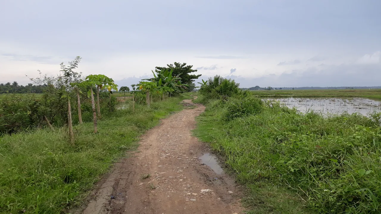 20250525_111045.jpg