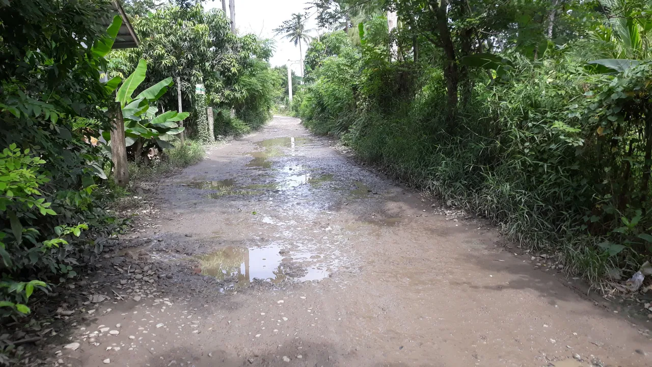 20250622_104834.jpg