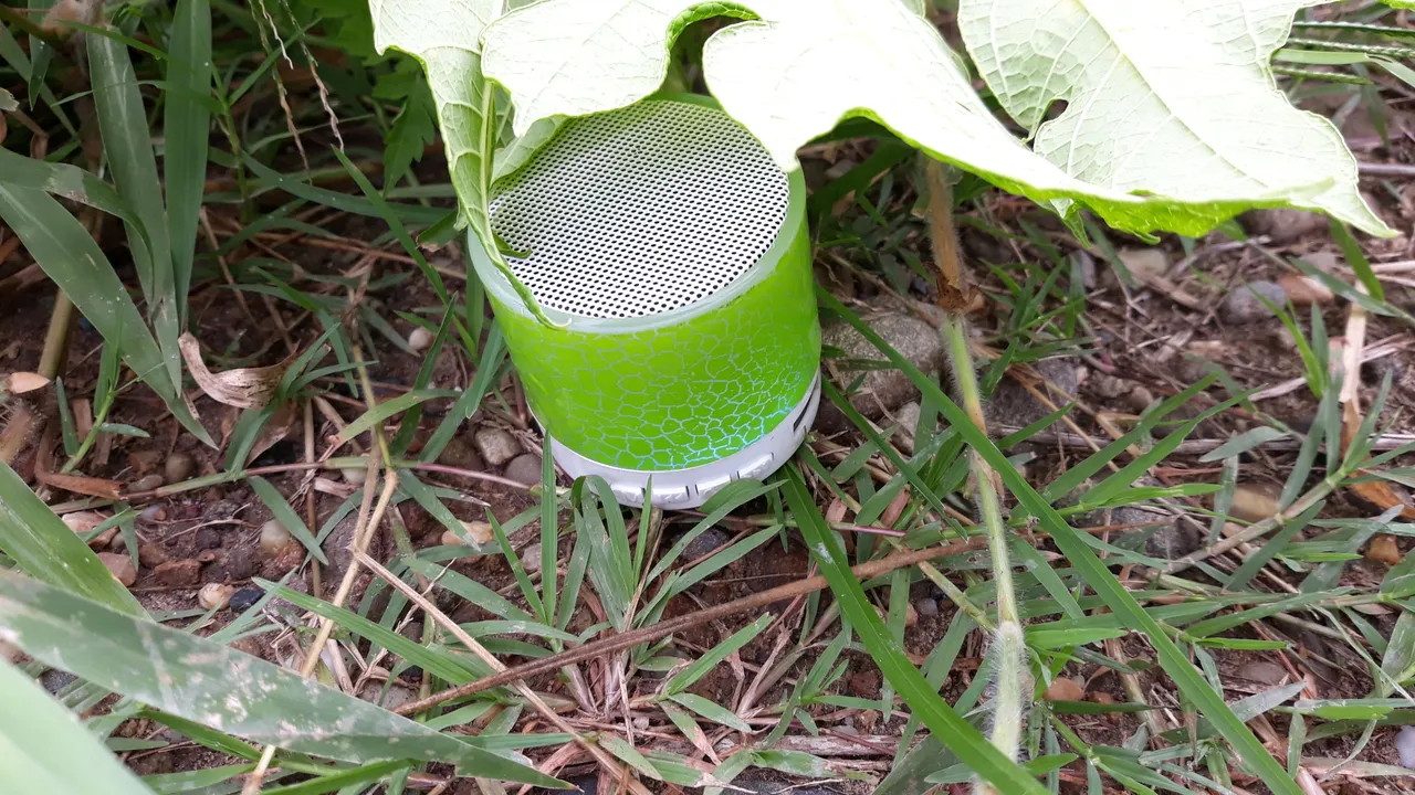 20250525_112449.jpg