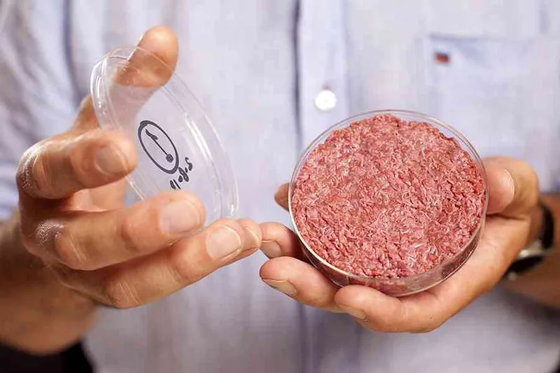 Lab Grown Meat