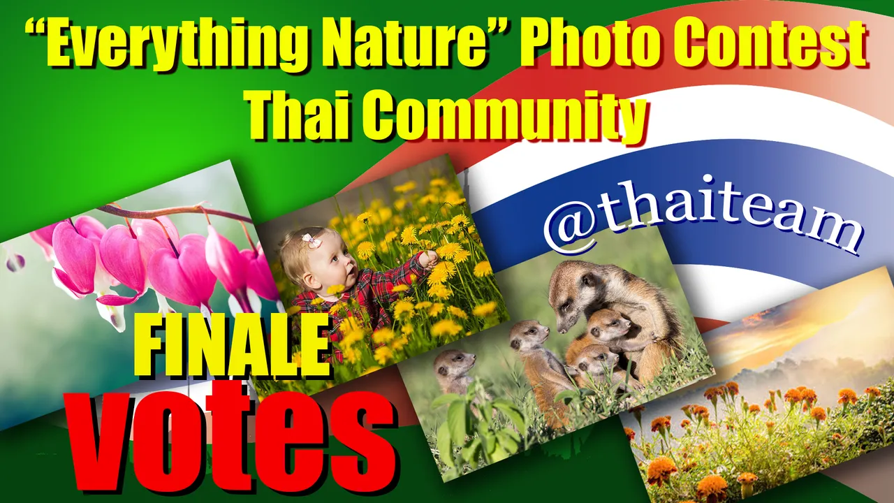 everything_nature_photography3_finale_votes.png