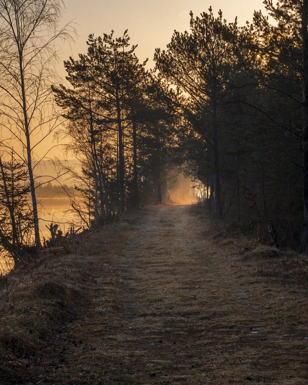 Path to Retirement - Light at the end of the Tunnel