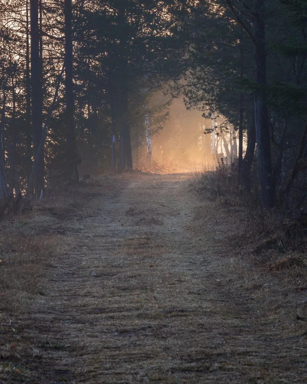 Path to Retirement - Light at the end of the Tunnel - Sunrise at the Reservoir