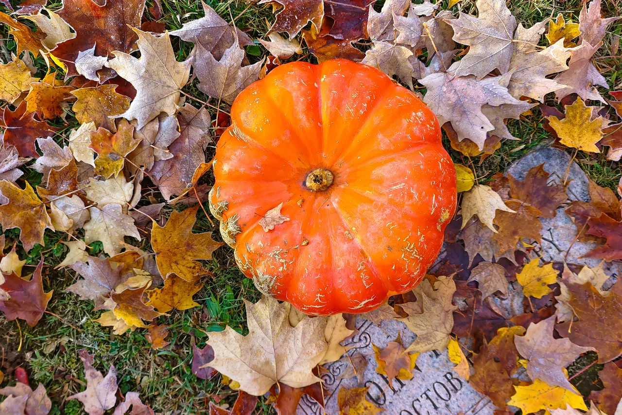 More Springfield Ohio Fall Colors - The Ferncliff Cemetery