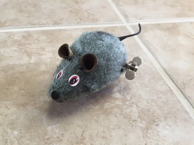 Mouse