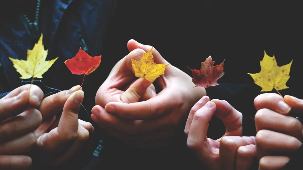 compassion ile ilgili gÃ¶rsel sonucu